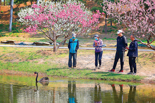 ●北京的春天陽光明媚，不少市民踏青遊玩，享受春光。 中新社