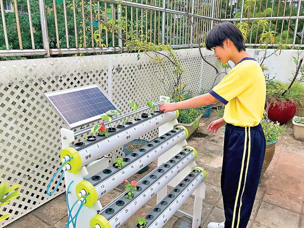 ● 「環保大使」學習太陽能水耕種植。 作者供圖