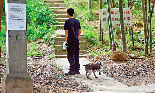 ●5月9日，工作人員在杭州市西湖區何家村搜尋金錢豹。 新華社