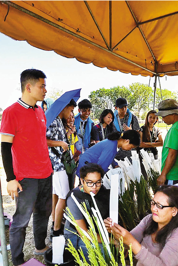 ● 王鑽（左一）在菲律賓向當地人展示雜交水稻。 湖南雜交水稻研究所供圖