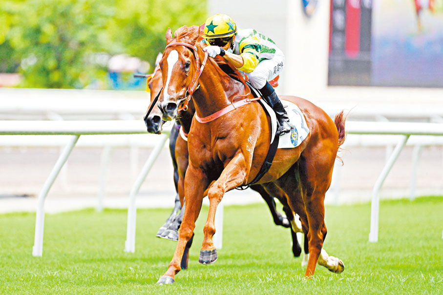 蔡廄的「風火戰駒」（圖黃帽）昨日配莫雷拉一出即勝。