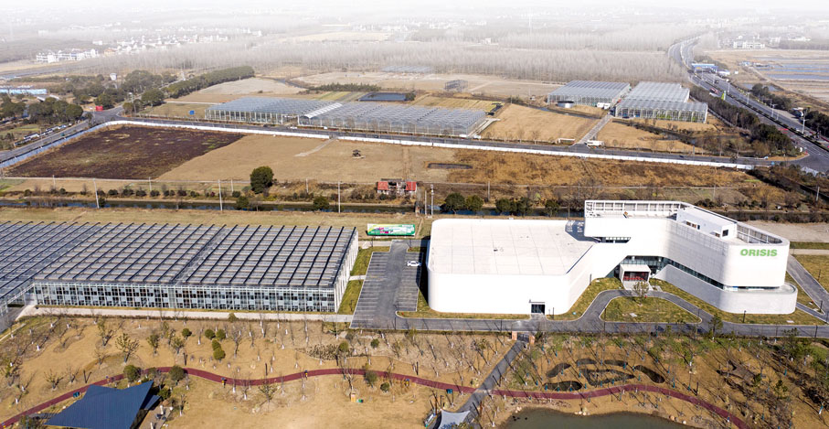 ● 空中俯瞰浙江平湖國際科技農業合作示範區 。  新華社