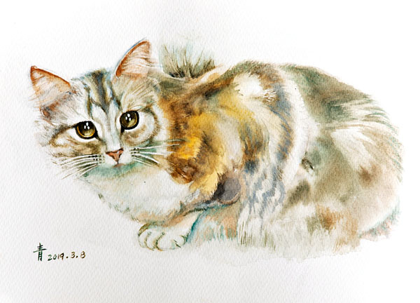 ●胡燕青筆下的家貓。
