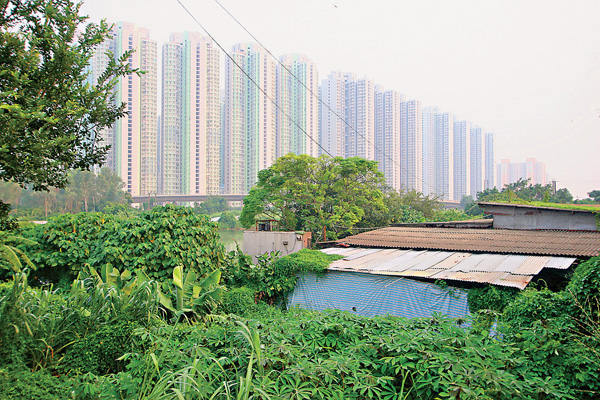 ●申請改劃地點鄰近天水圍新市鎮，早在2011年規劃署提出《改善流浮山鄉鎮及鄰近地區研究》開始，已被指定作房屋用途。 資料圖片