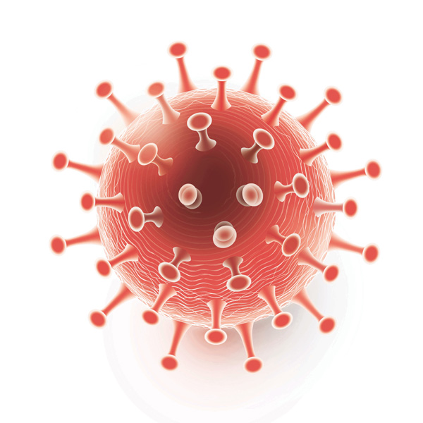 ● 冠狀病毒看來像帶刺的球體。 資料圖片