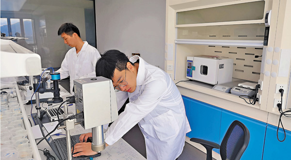 ●香港城市大學科研團隊在河套深港科技創新合作區實驗室做實驗。 香港文匯報記者郭若溪  攝
