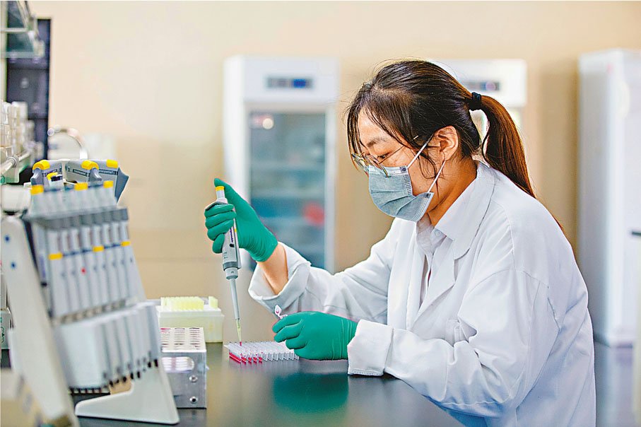 在相當長一段時間，內地蔬菜種子市場被「洋種子」佔領，近年壽光市在種業創新研發持續發力，助國產種子收復失地。  李志鵬 攝