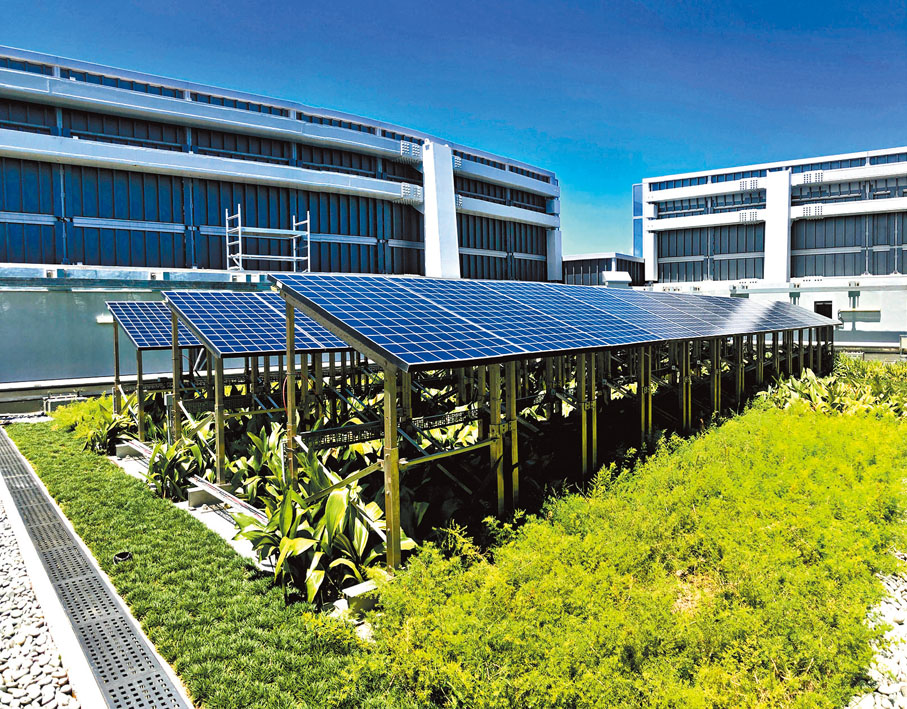 ● 太古坊1座天台共安裝約170塊太陽能板，可提供整座大廈約1%的電量。  香港文匯報記者  攝