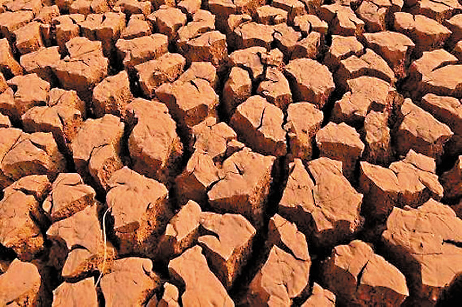 ●雲南水塘乾涸情況。(取自中央政府門户網站) 作者供圖