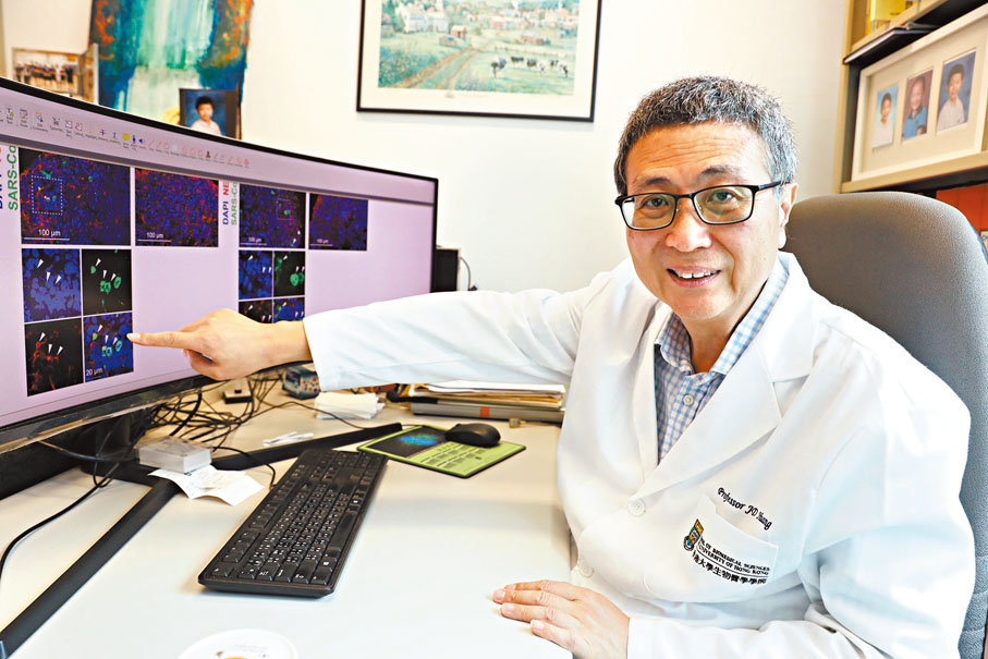 ● 黃建東團隊正參考卡介苗科學思路，以探索無害的冠狀病毒基礎，希望能研發出「百搭」的泛冠狀病毒疫苗。 香港文匯報記者  攝