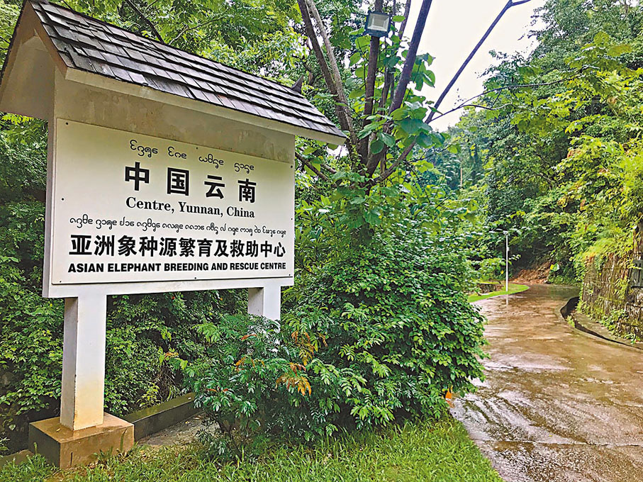 ●位於西雙版納的中國雲南亞洲象種源繁育及救助中心。西雙版納國家級自然保護區管護局供圖