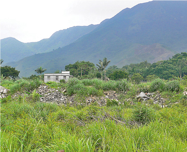 ●大埔林村項目身處的地區有不少土地為棄耕荒廢的農田。 資料圖片
