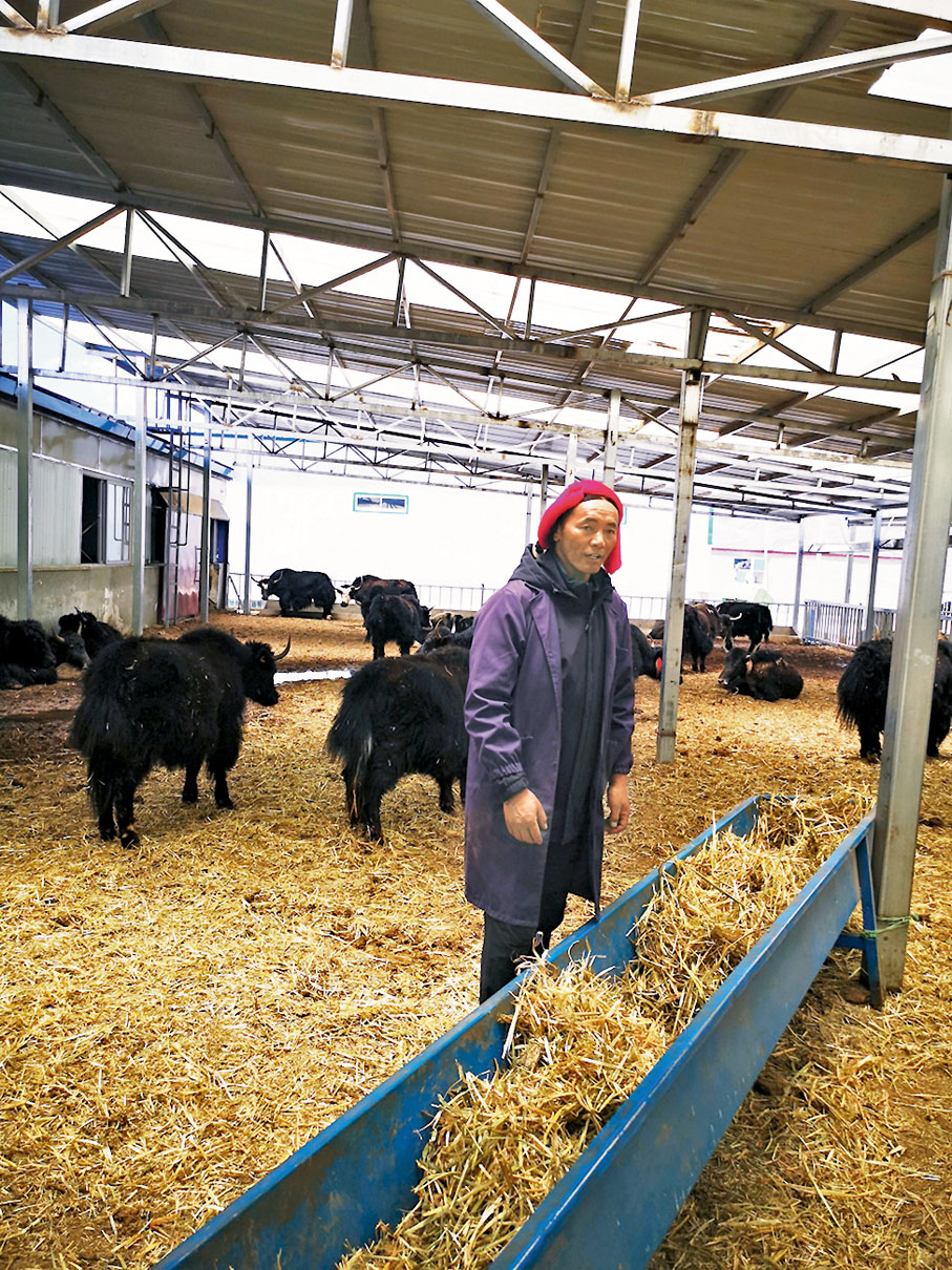 ●次仁桑珠表示，一家人如今實現了脫貧摘帽，生活越來越好。