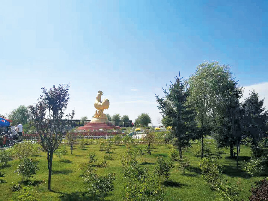 ●金雞坪梯田公園中「金雞雄唱」。