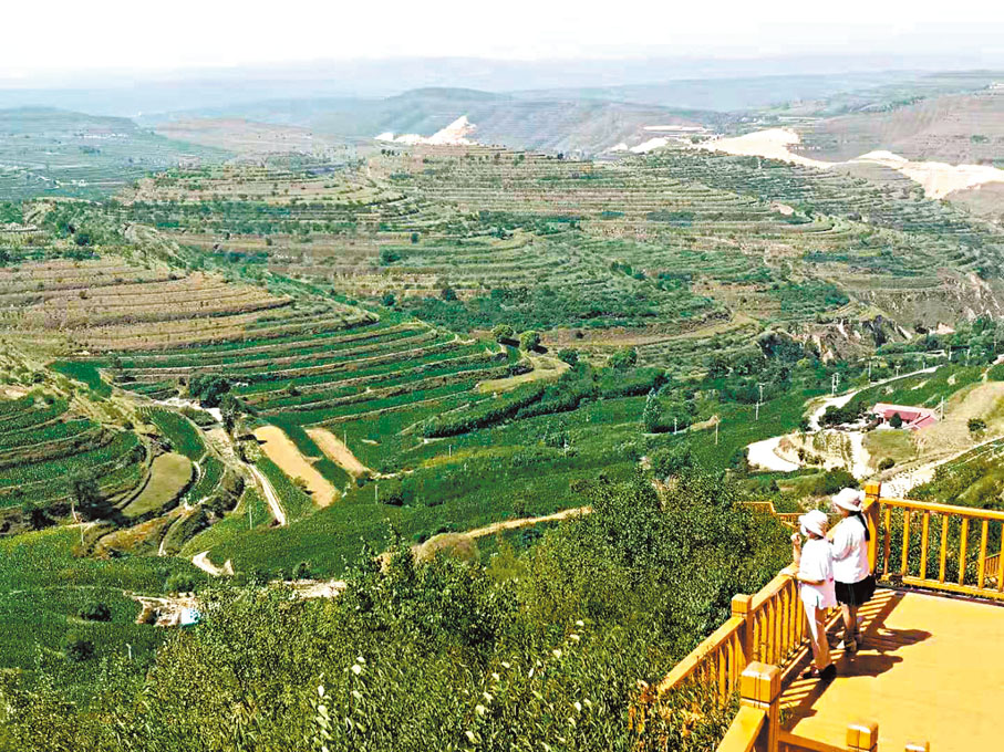 ●極目遠眺旱作梯田，風景絕美。