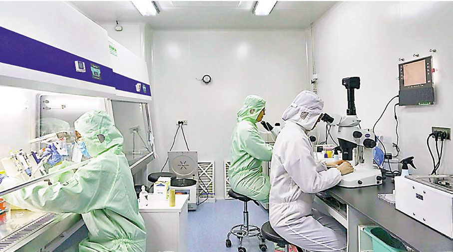 ● 複製貓團隊在實驗室裏埋首苦幹。受訪者供圖