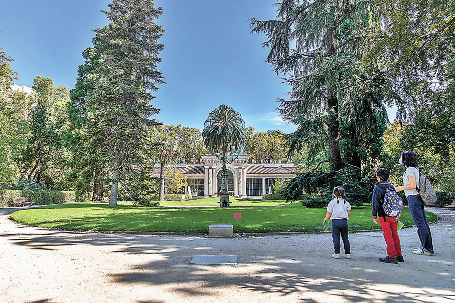 ●人們在西班牙馬德里參觀位於普拉多大道東側的皇家植物園。