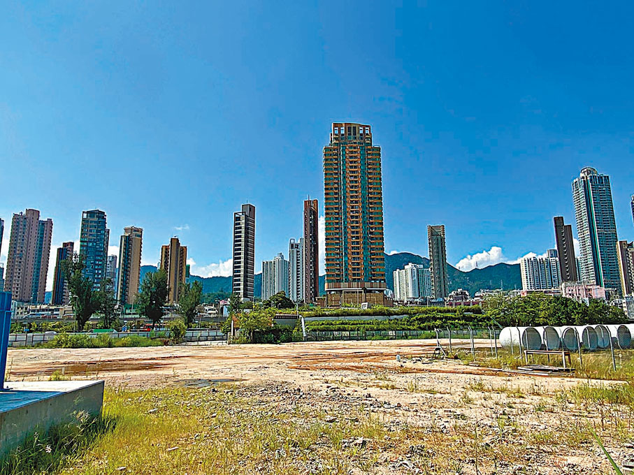 ●九龍城有不少「插針式新盤」，形成該區新舊交錯的獨特外貌。