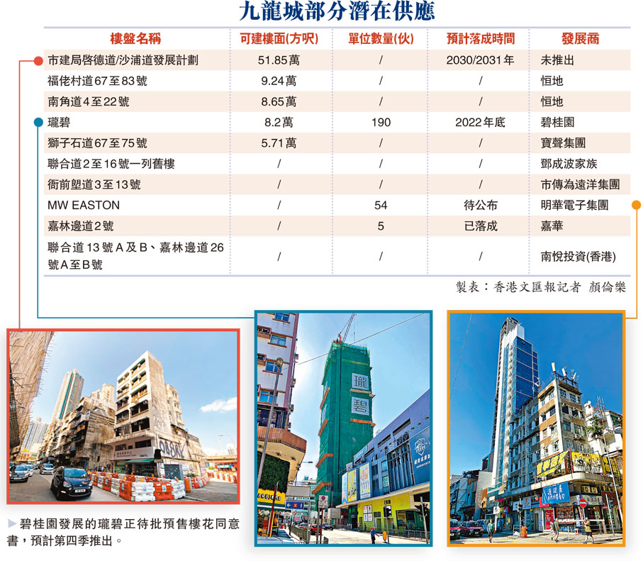 九龍城部分潛在供應