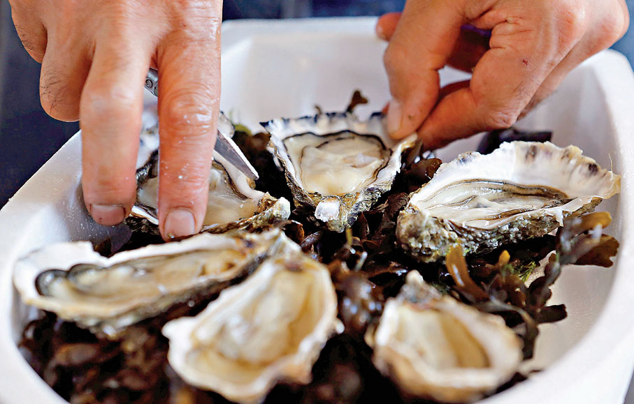 ● The world is your oyster，意思是蠔殼雖然很難打開，但打開後就有收穫，甚至有意想不到的驚喜。 影片截圖