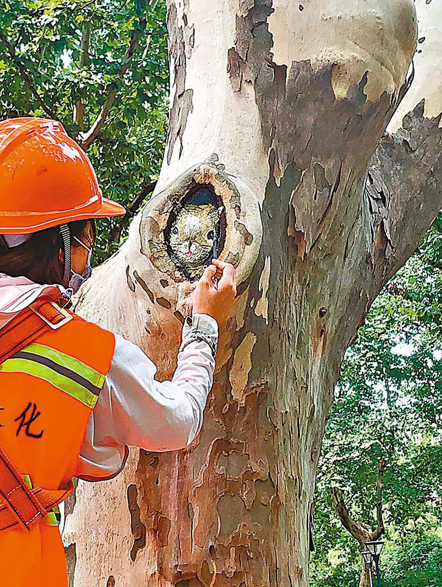 ● 工作人員正繪製樹洞動物。   受訪者供圖