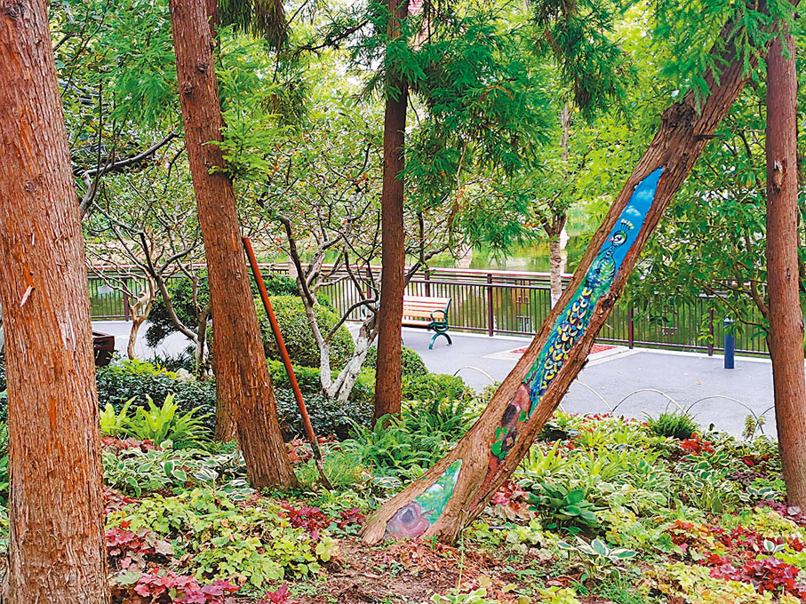 孔雀。香港文匯報記者倪夢璟  攝