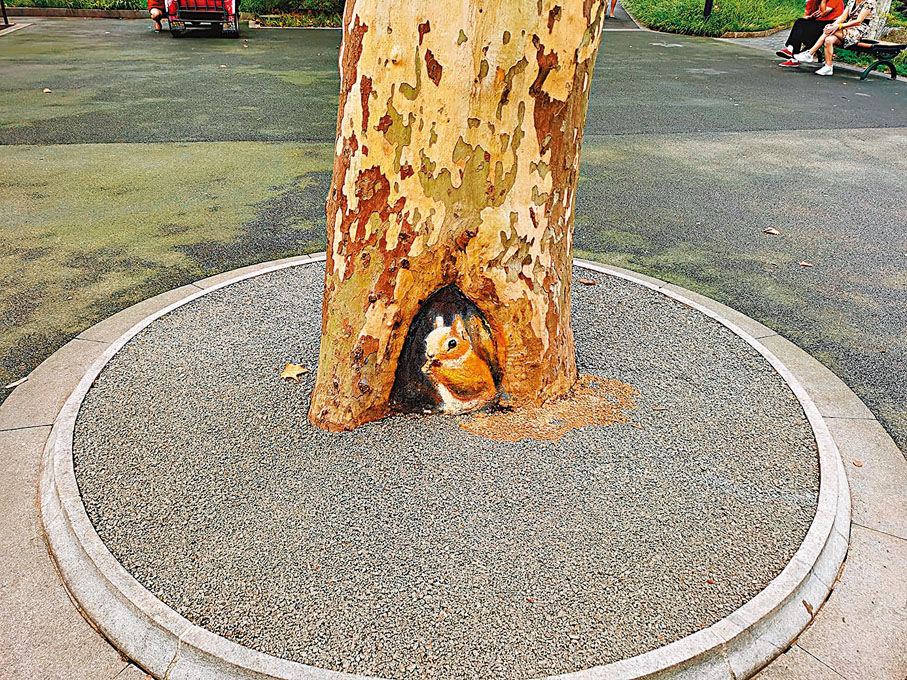 松鼠。香港文匯報記者倪夢璟  攝