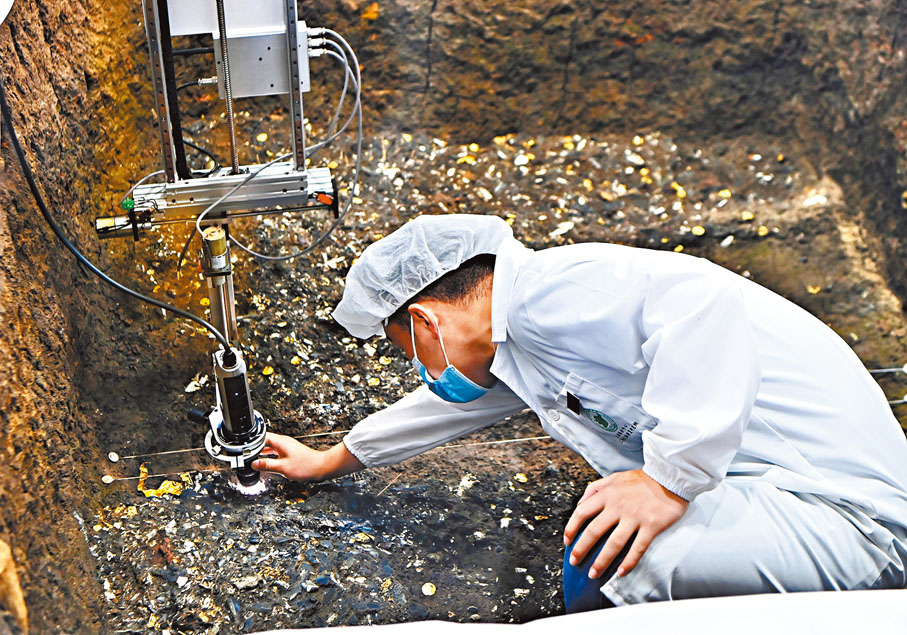 ● 考古工作者在三星堆遺址考古發掘現場發現了玉器和金圓片。 中新社