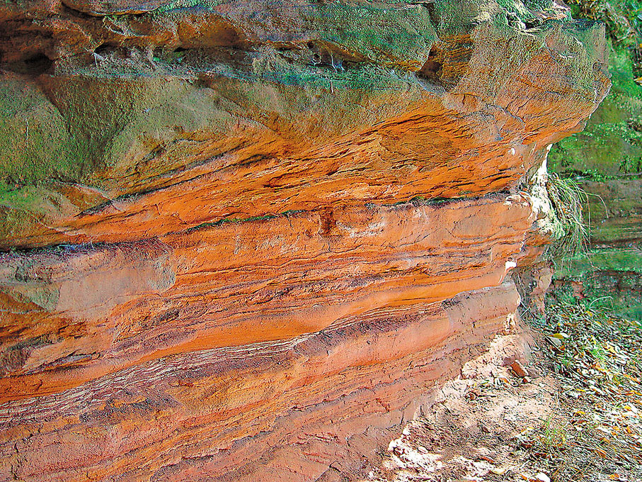 ● 三疊紀的氣候炎熱乾燥，所展現的石層以赤紅的砂岩為主。 網上圖片