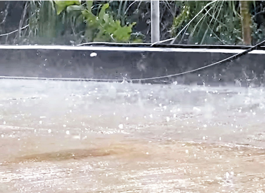 ●冰雹夾雜雨水從天而降。 網上圖片