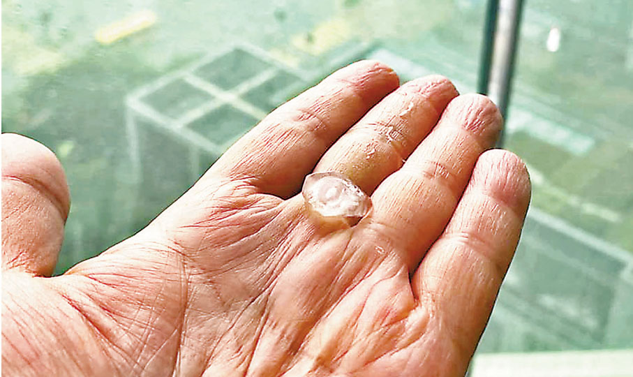 ●將軍澳市民撿起從天而降的冰雹。 網上圖片