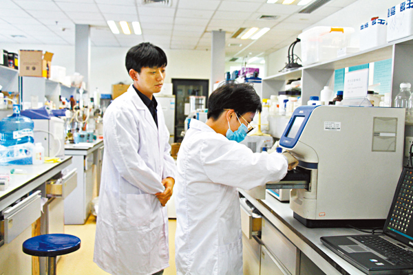 ●香港城市大學深圳研究院實驗室的研究人員在做實驗。資料圖片