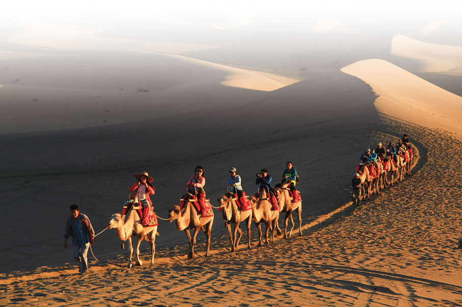 ●大漠駝影。　　敦煌宣傳部供圖