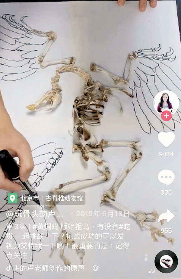 ●「玩骨頭的盧老師」在抖音以吃剩的黃燜雞骨拼出始祖鳥模型。 抖音「玩骨頭的盧老師」