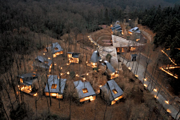 ●民宿「不是居·林」坐落在山林之中，讓人覺得平靜。  受訪者供圖