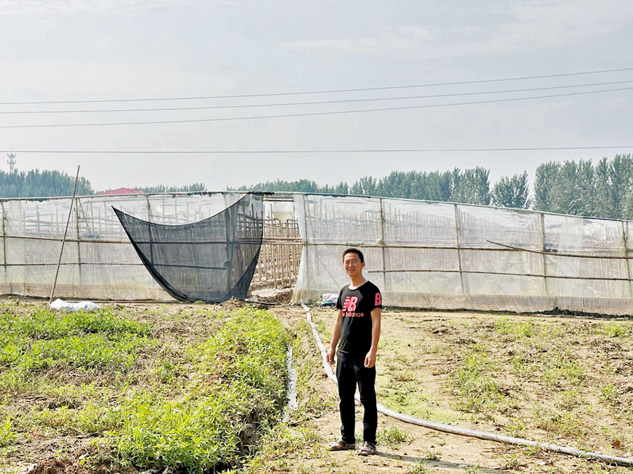 ● 河南周口市扶溝縣西吳村村民齊兵衛的菜地正在排水。香港文匯報記者劉蕊 攝
