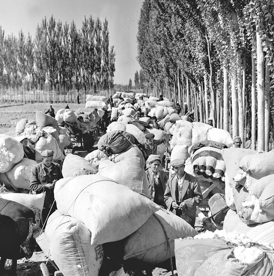 浩蕩的春風●中國主要棉花產區之一的新疆維吾爾自治區，1990年棉花獲得大豐收，總產量達34.9萬噸，創歷史最高水準。圖為位於塔克拉瑪干大沙漠南緣的且末縣維吾爾族農民交售新棉。