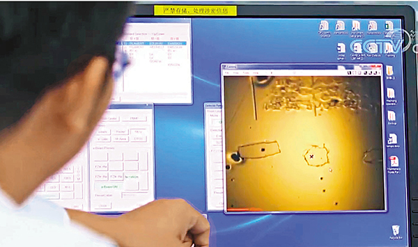 研究團隊在工作中。 視頻截圖