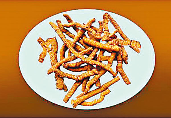 ●藥名遠志，是否因為看上去有「骨氣」？ 作者供圖