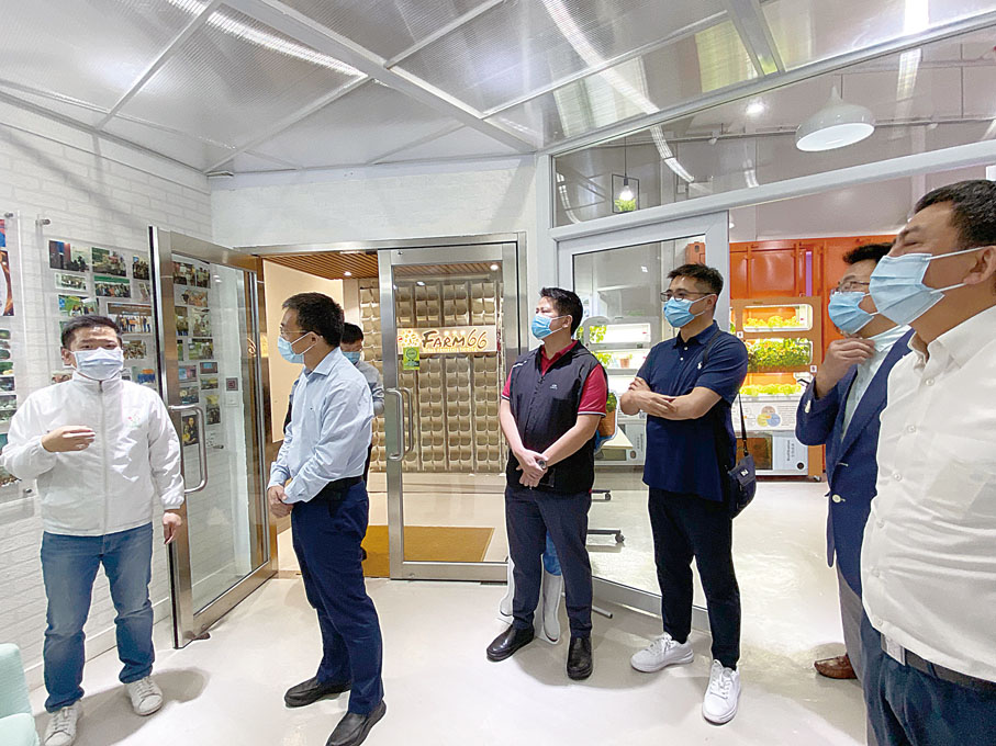 中聯辦秘書長王松苗（左二）落區，香港農業聯合會主席陳建業BBS（右一）反映業界的心聲。