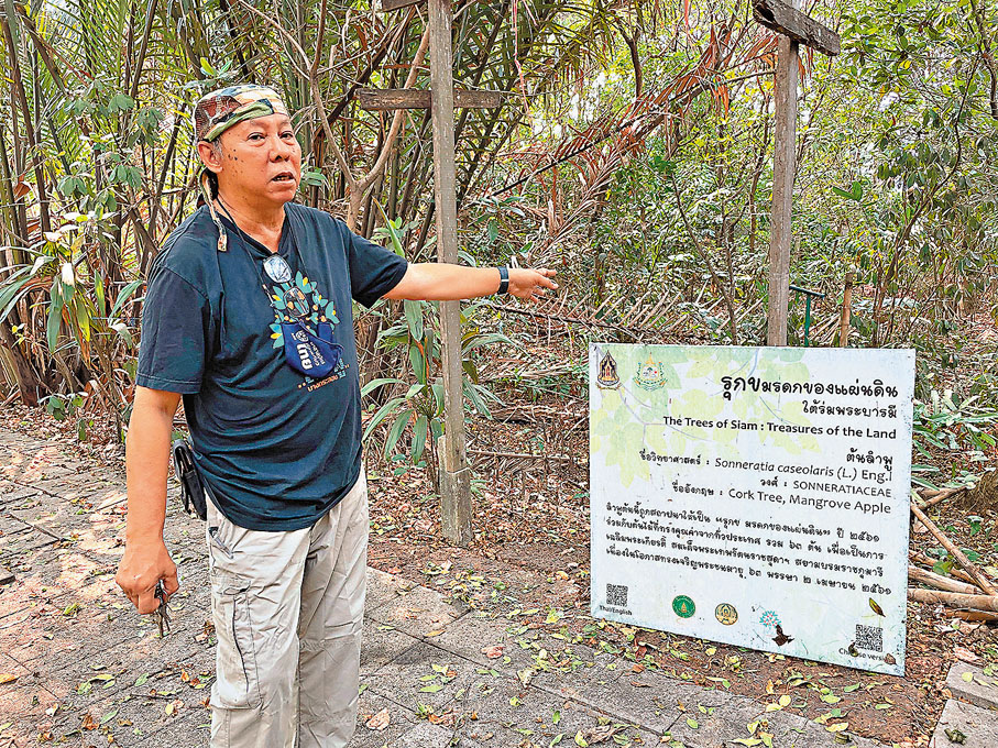 素吉在泰國沙沒巴干府邦卡造區介紹螢火蟲保護園。
