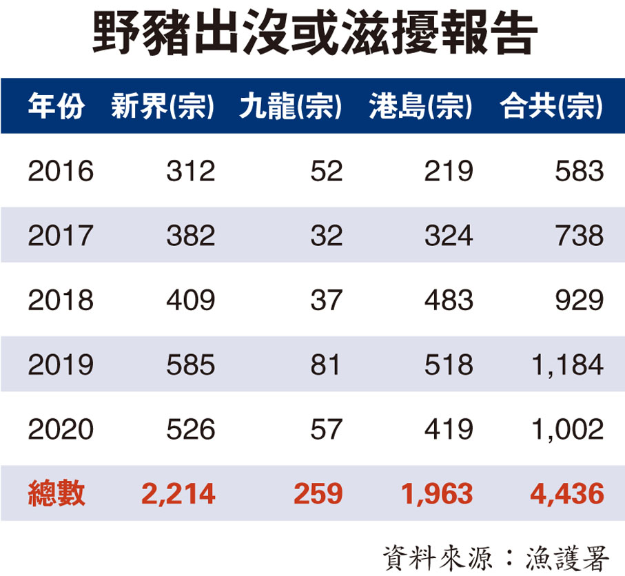 野豬出沒或滋擾報告