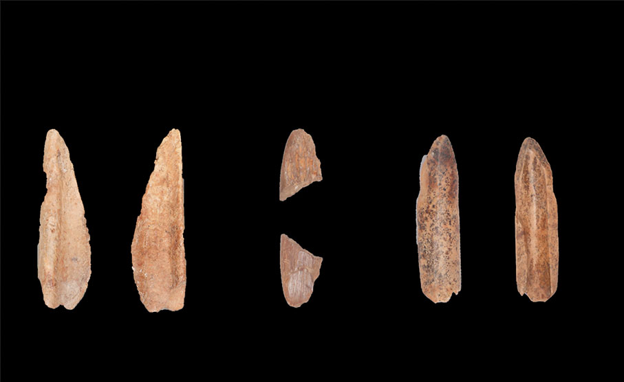 ●三件精美骨角器