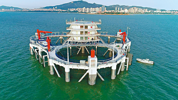 ● 全國首製裝備休閒型海洋牧場綜合體平台「耕海1號」矗立在山東煙台四十里灣海域。 受訪者供圖