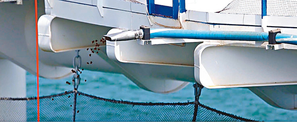 ● 「耕海1號」的智能投餌系統，與海洋生態環境監測系統有機結合，可降低80%以上的飼料浪費損失，減少60%以上的用工成本。受訪者供圖