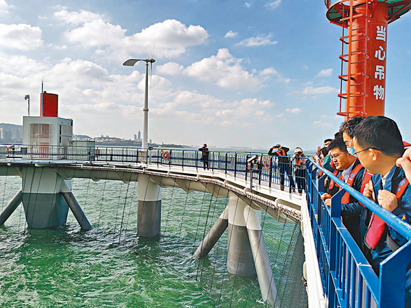 ● 遊人參觀「耕海1號」網箱。香港文匯報記者殷江宏  攝