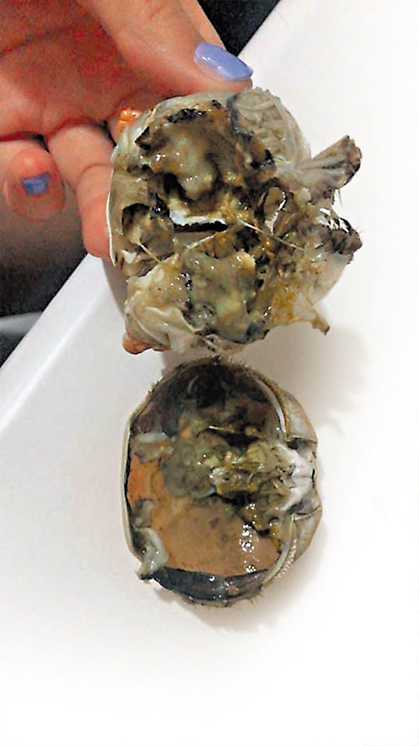 ●有市民在網上平台訂購的大閘蟹，揭殼發現是「黑心蟹」。