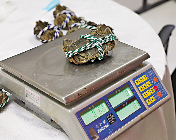 ●足秤6両蟹，連繩重約6両2，淨重約5両4，繩重約8錢。香港文匯報記者  攝