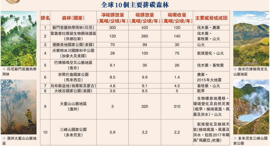 全球10個主要排碳森林