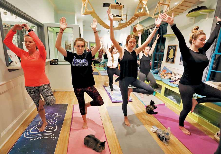 ● 隨着「新紀元運動」興起，瑜伽等活動也日益受歡迎。 資料圖片